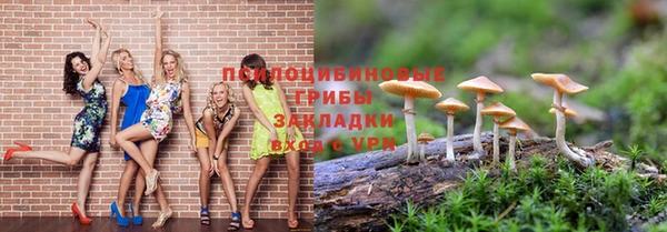 дурь Зеленокумск